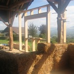 IMG_8888 IMG_8888